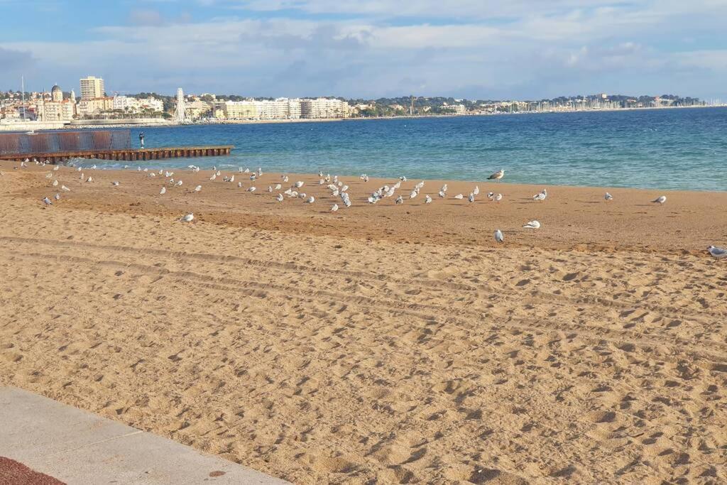 Fréjus T2 Climatise A 5 Minutes A Pied De La Plage Avec Parking, Piscine Et Wifi מראה חיצוני תמונה